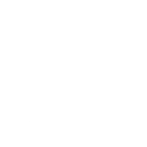 BMR Logo White w Transparent BG